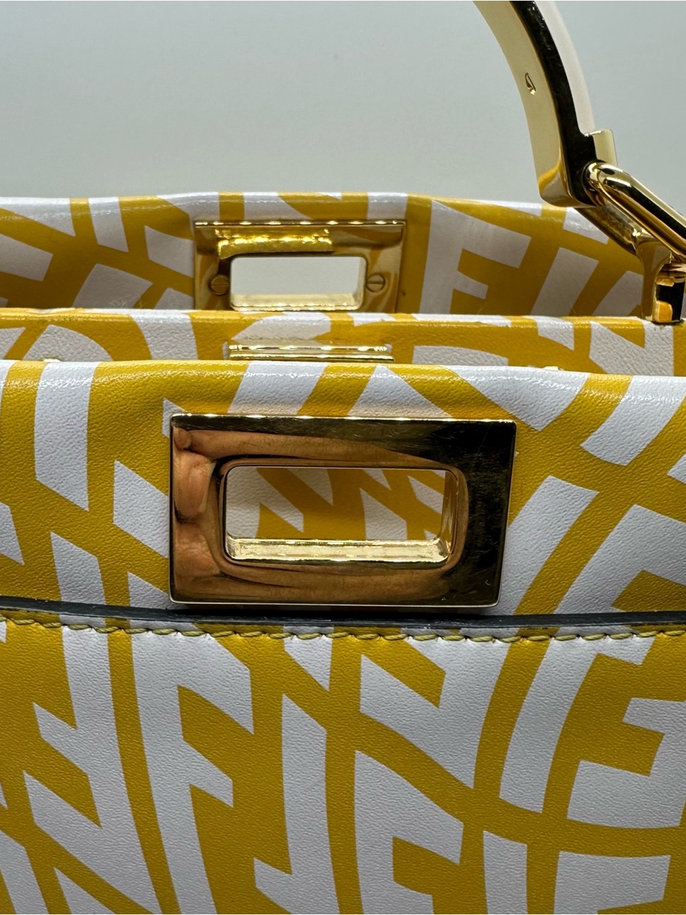 FENDI X SARAH COLEMAN Vertigo Peekaboo With Strap and Rain Cover - Picture 10 of 16